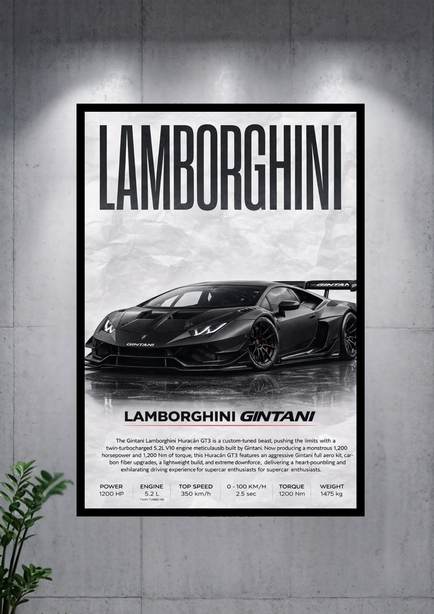 Lamborghini | Sports Car 11 | Cars collections